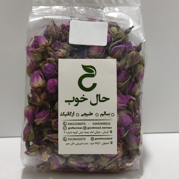 غنچه گل محمدی