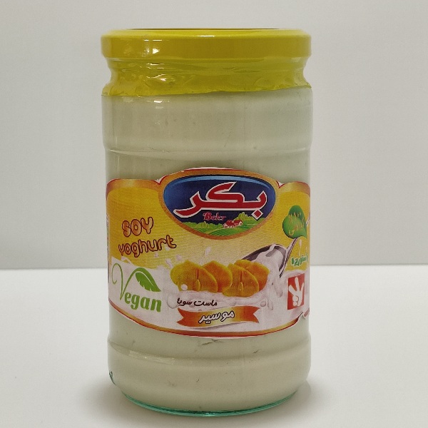 سویا ماست موسیر